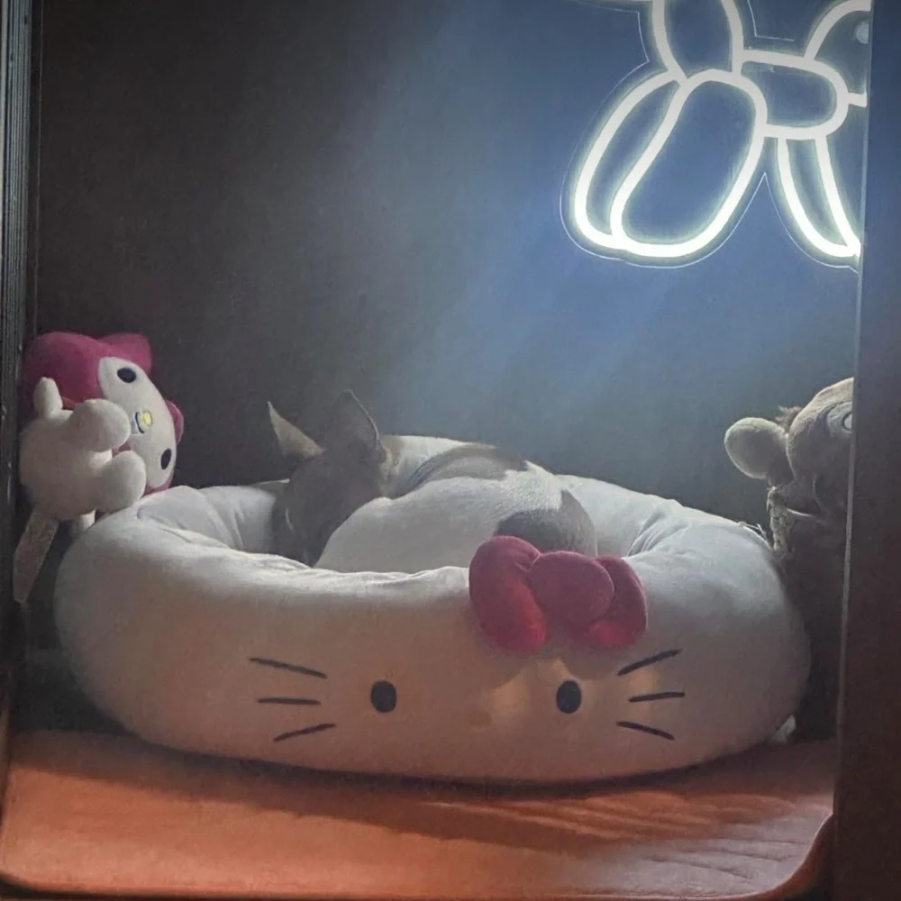 Squishmallows 20” Hello Kitty Pet Bed NWT 💕Host Pick💕